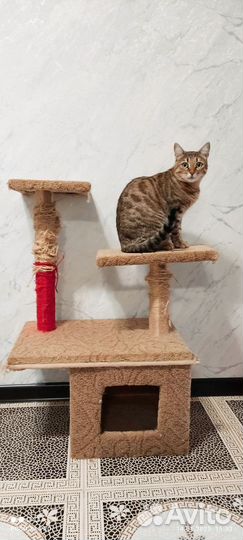 Стойка для кошки с домиком