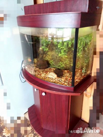 Аквариум