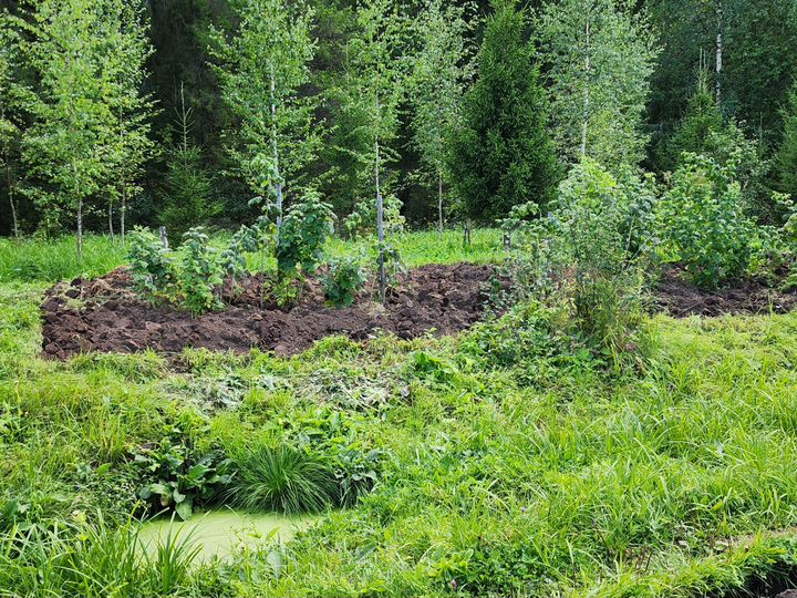 Участок 5,2 сот. (СНТ, ДНП)