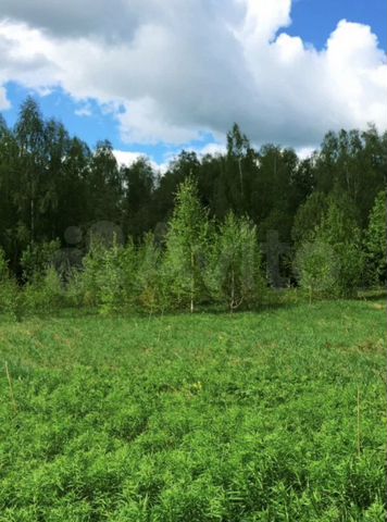 Участок 15,5 сот. (ИЖС)