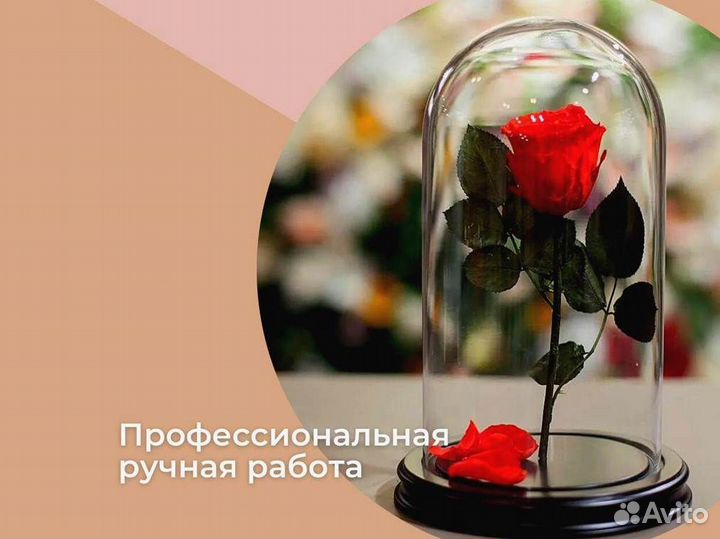 Роза в колбе. Вечная