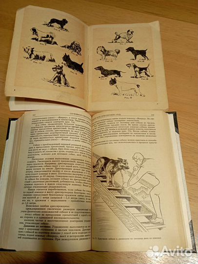 Книги по собаководству