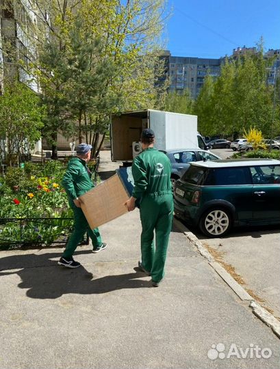 Грузоперевозки / Перевозка / Перевозка мебели