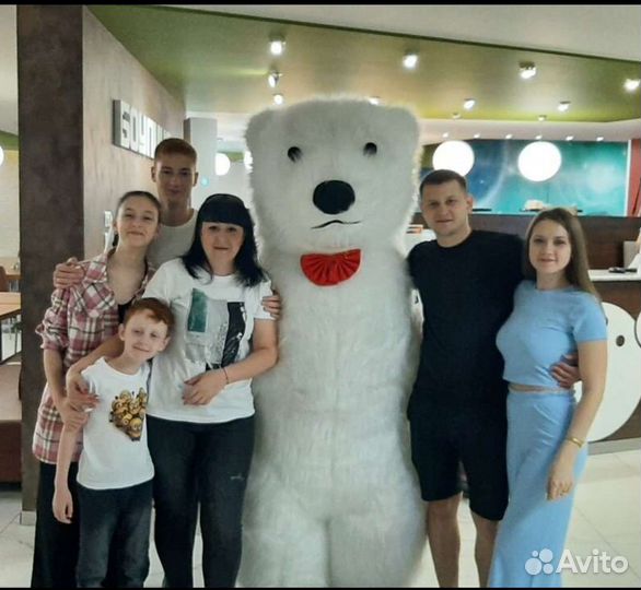 Поздравления белого мишки и панды