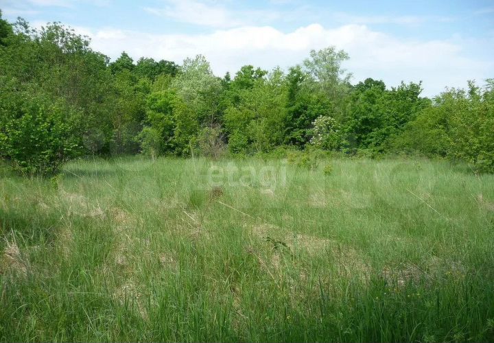 Участок 1,11 га (СНТ, ДНП)