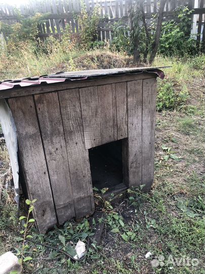 Будка для собаки