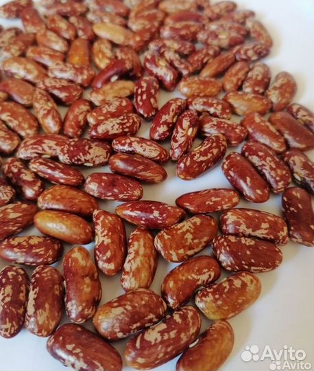 Семена бобов