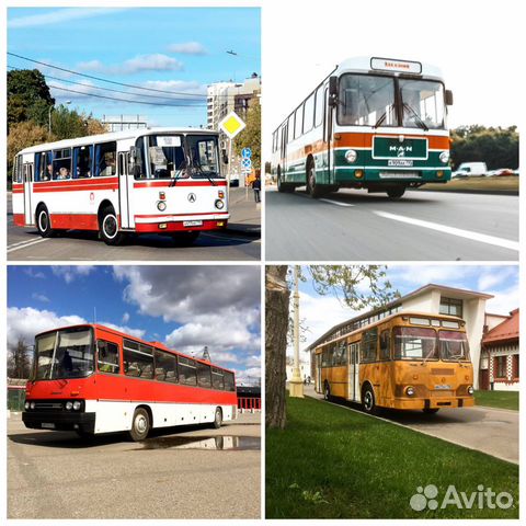 Аренда ретроавтобуса лиаз 677, лаз 695, Икарус 250