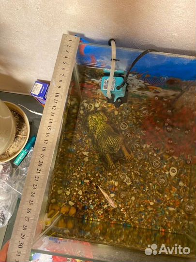 Аквариум с рыбками