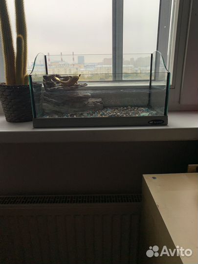 Аквариум для черепах