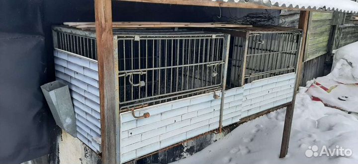 Клетки для кроликов