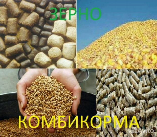 Зерно отруби комбикорма