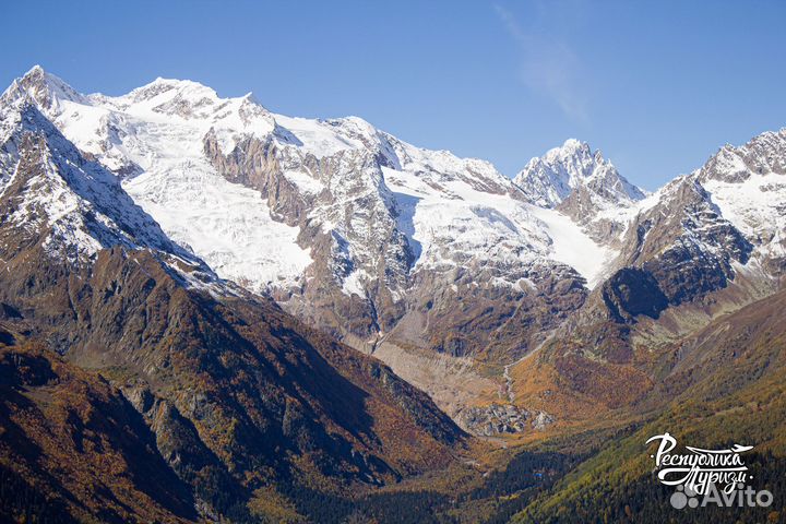 Домбай с Альпаками