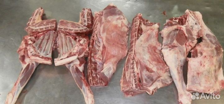 Мясо баранина молодая