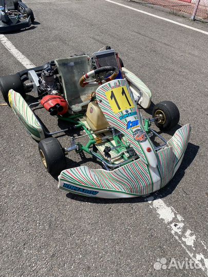 Tony kart KF