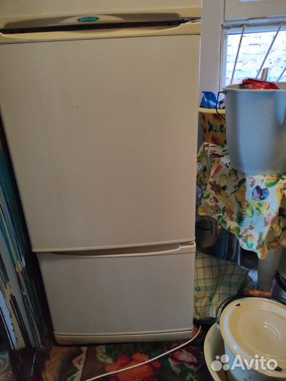 Холодильник stinol