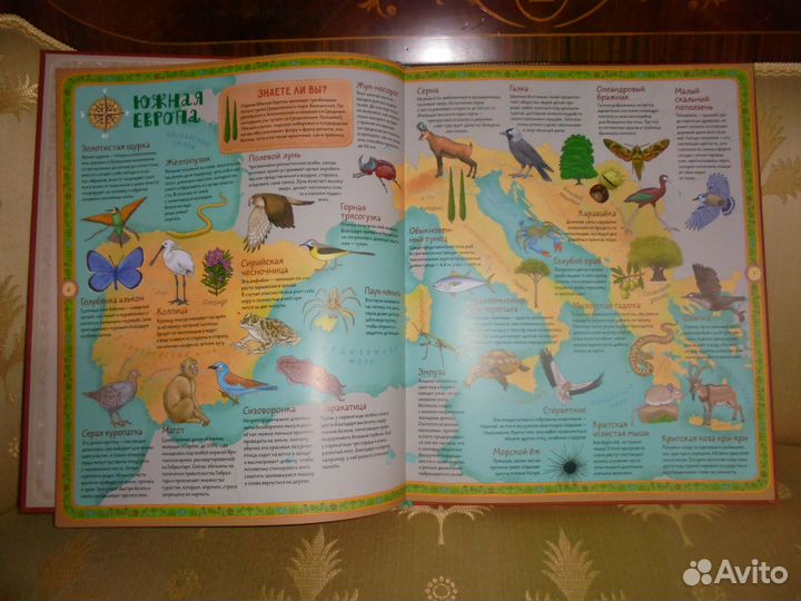 Атлас животных и растений мира 28х34 см Речь 2022