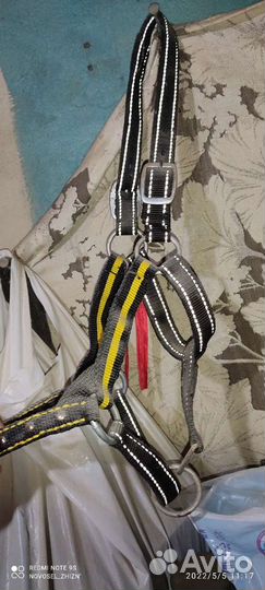 Конная амуниция