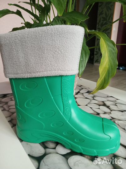 Новые сапоги