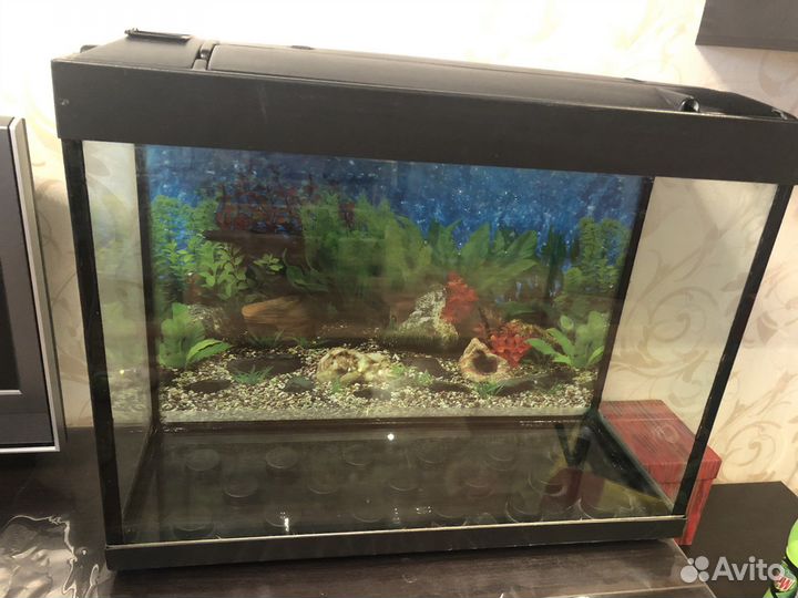 Аквариум