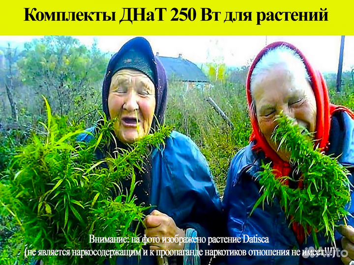 Комплекты Днат 250 для выращивания растений