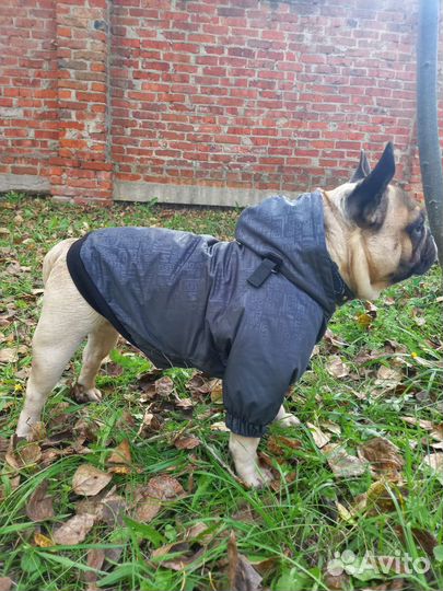 Одежда для собак, комбинезон, куртка