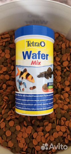 Корм для рыб