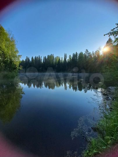 Дом 54 м² на участке 25 сот.