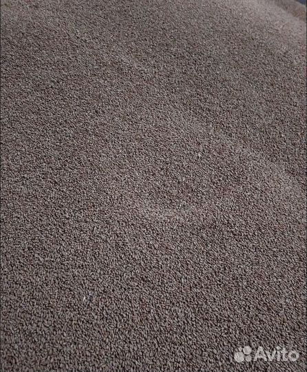 Семечко, Гречиха корма