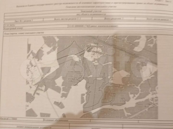 Участок 100 сот. (СНТ, ДНП)