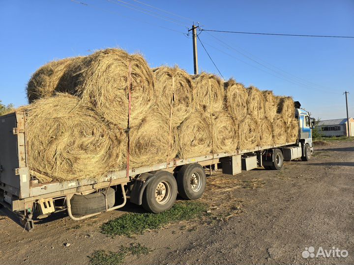 Сено. Доставка