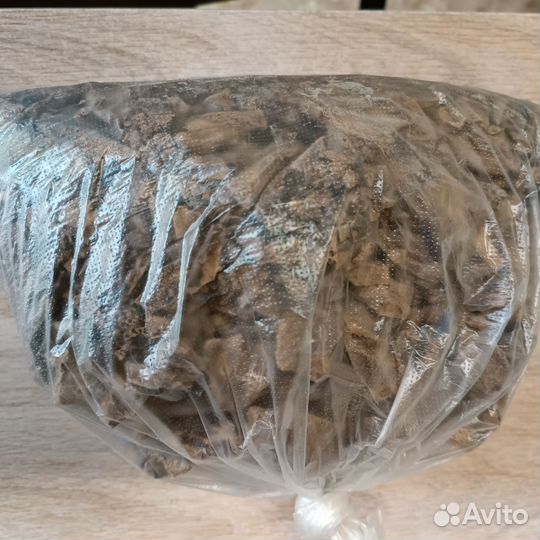 Прикормка для карпа