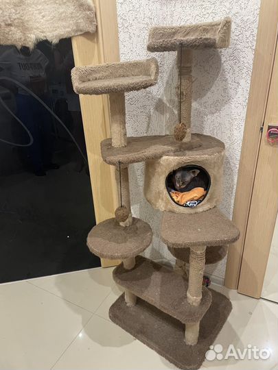 Домик для кошки с когтеточкой бу