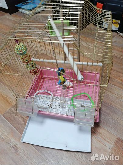 Клетка для птиц