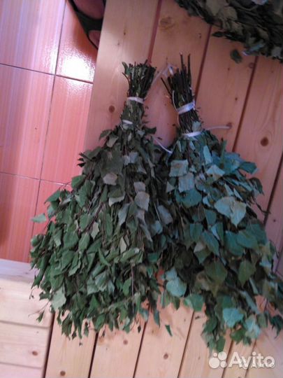 Продам березовые веники