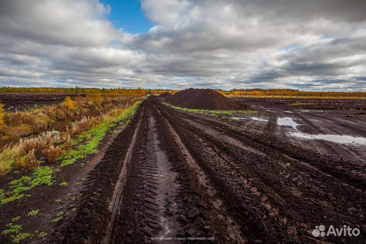 Торф. Самовывоз и доставка