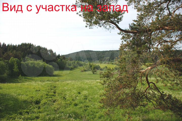 Участок 60 сот. (СНТ, ДНП)