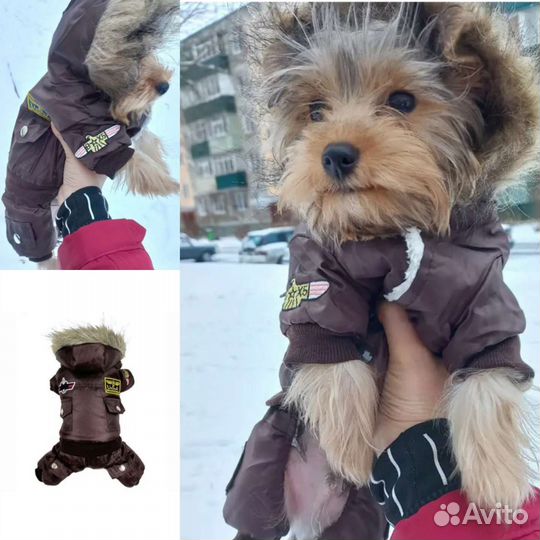 Комбинезон для маленькой собаки