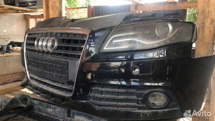 Ноускат A4 b8