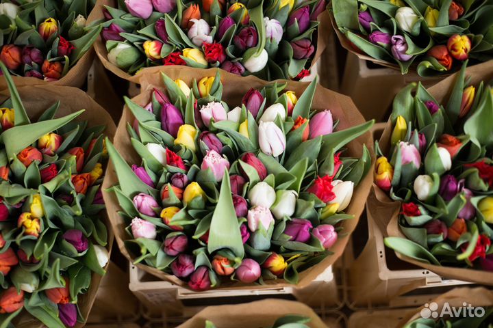 Букет из 15, 25,31 и 51 Тюльпанов Букет Москва