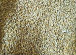 Пшеница фуражная 450 тонн оптом