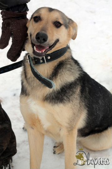 Весёлый, добрый, неунывающий Тоша