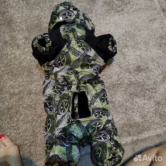 Одежда для средних собак