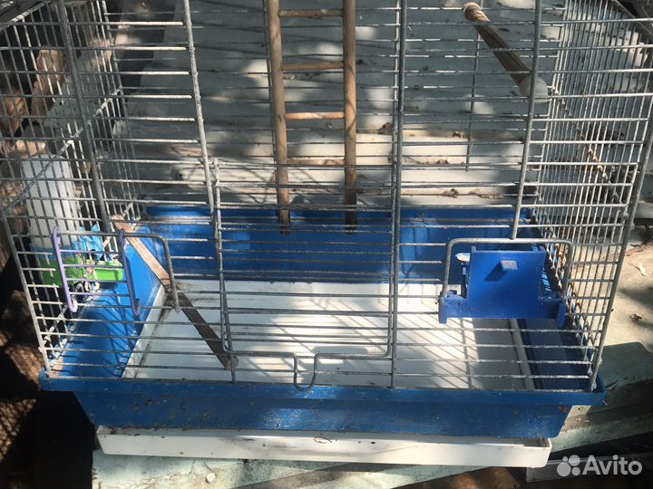 Клетка для птиц бу