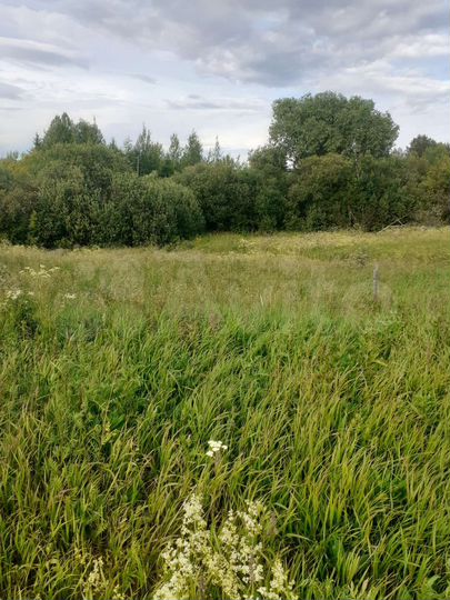 Участок 10 сот. (ИЖС)