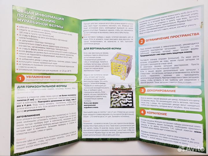 Новая муравьиная ферма 