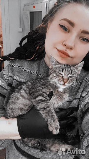 Ветеринарный врач-терапевт, ратолог на дом