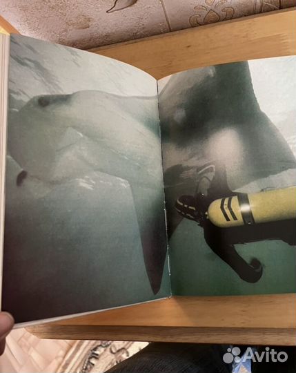 Ж.-И. Кусто, И. Паккале Сюрпризы моря