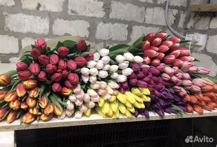 Тюльпаны. Букетики к 8 марта