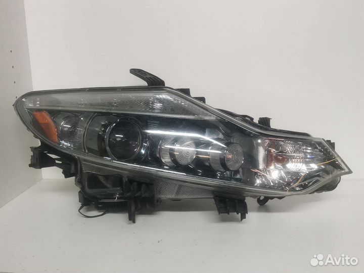 Фара правая Nissan Murano Z 51